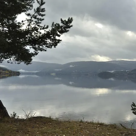 Oda ve Kahvaltı Fyresdal 3*