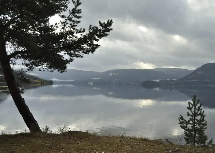 Bed and breakfast Fyresdal 3*